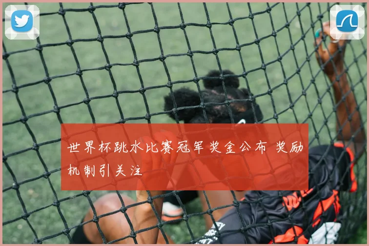 世界杯跳水比赛冠军奖金公布 奖励机制引关注