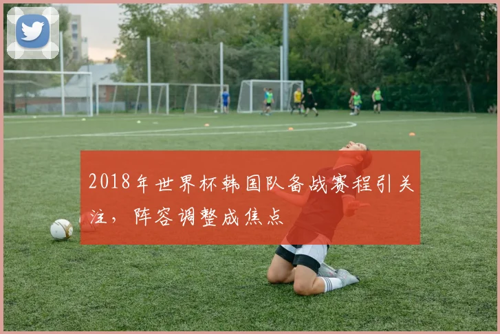 2018年世界杯韩国队备战赛程引关注，阵容调整成焦点