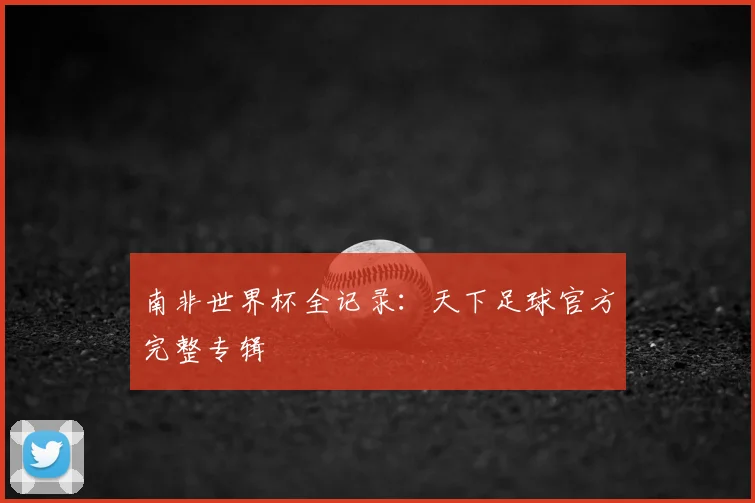 南非世界杯全记录:天下足球官方完整专辑