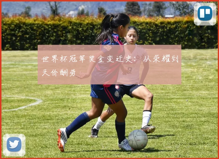 世界杯冠军奖金变迁史:从荣耀到天价酬劳