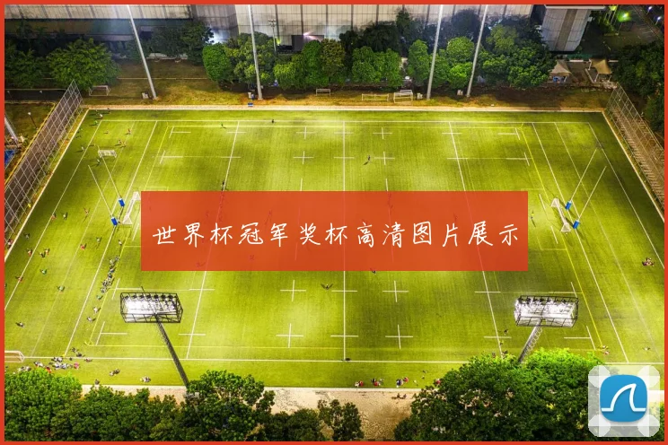 世界杯冠军奖杯高清图片展示