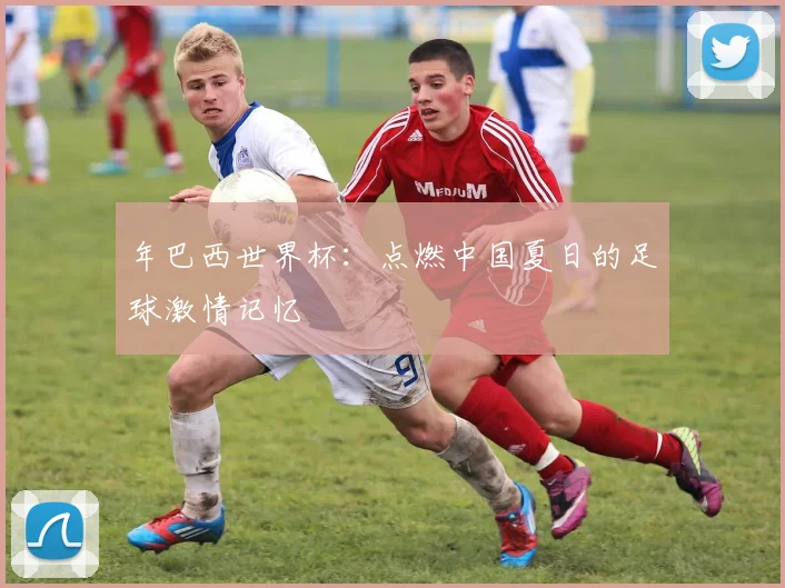 年巴西世界杯:点燃中国夏日的足球激情记忆