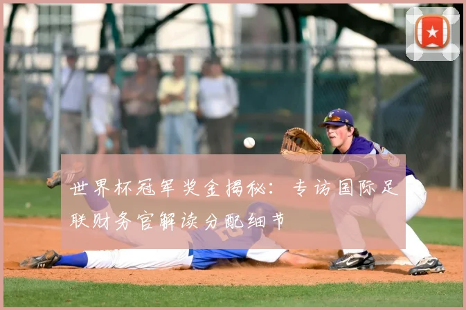 世界杯冠军奖金揭秘:专访国际足联财务官解读分配细节