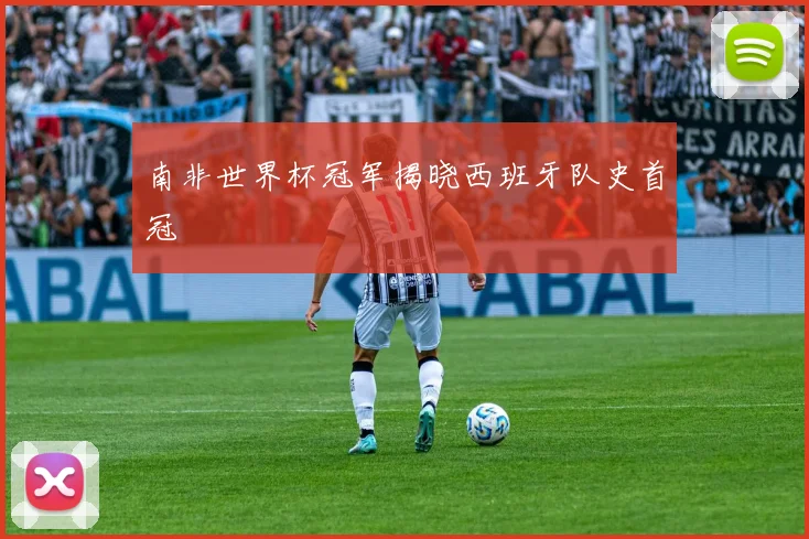南非世界杯冠军揭晓西班牙队史首冠