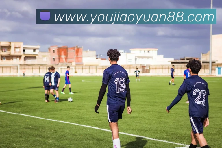 世界杯app平台平台生态图