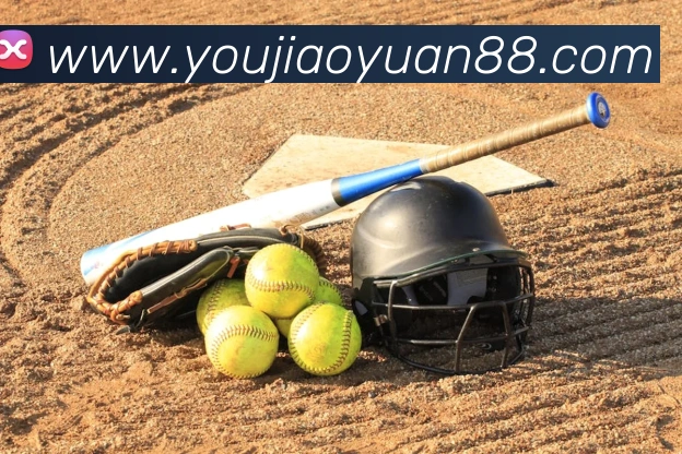 数据分析功能